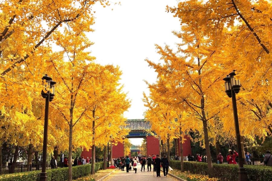 Autumn in Beijing Experience in China 14 Day Itinerary