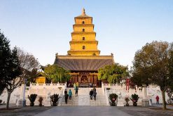 Big Wild Goose Pagoda exploration in China tour