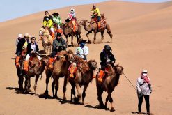 Camel riding at Gobi Desert in China Silk Road Tour