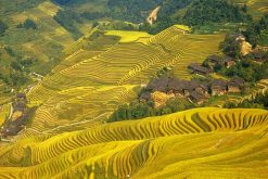 Dragon's Backbone Rice Terraces best place to visit in China tour