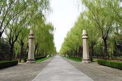 Sacred Road at the Ming Tombs