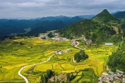 Scenery of Lali terraced fields with horse riding in dali yunnan tour