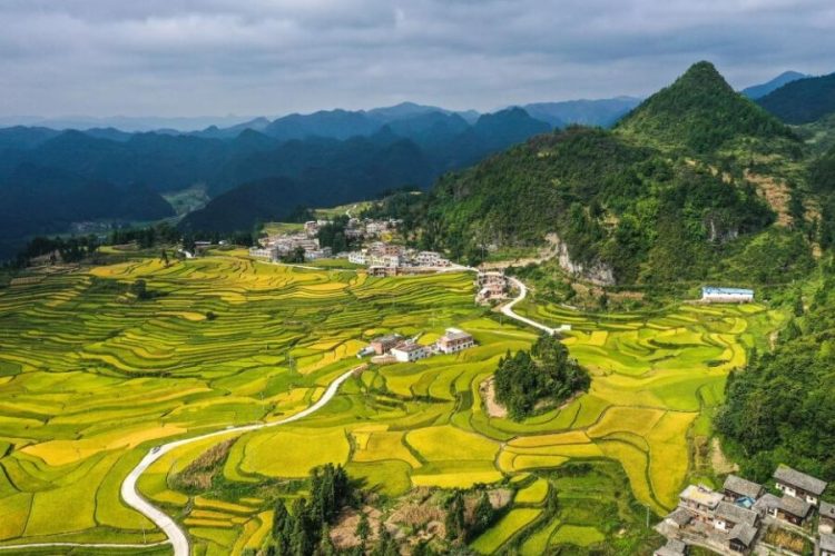 Scenery of Lali terraced fields with horse riding in dali yunnan tour