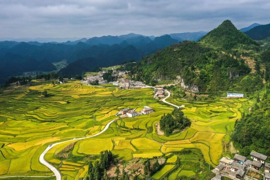 Scenery of Lali terraced fields with horse riding in dali yunnan tour