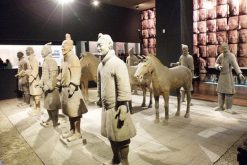 Shaanxi History Museum in Xian, China