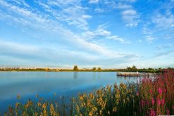 Stunning view of Zhangye National Wetland Park