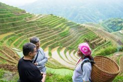 Visit Longji Rice Terraced Fields in Pingan Village