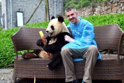 Volunteering at the Dujiangyan Panda Base