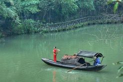 Yangtze River Explorer -14 Days