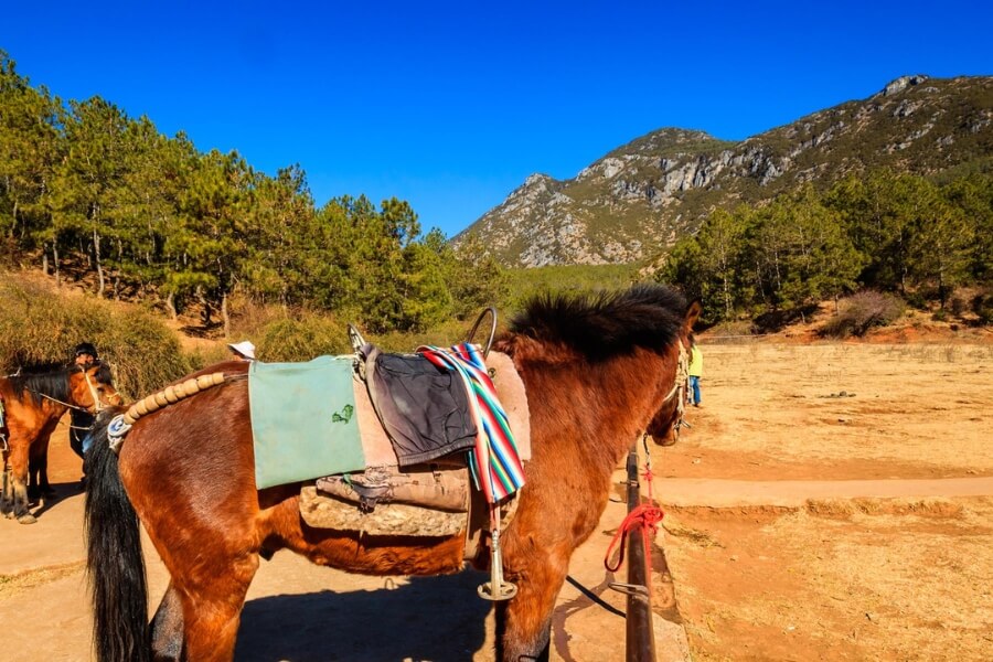 horse riding in dali yunnan tour 8 days