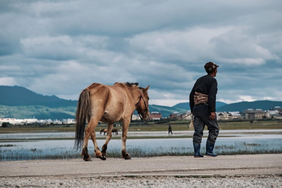 horse riding tour in Shangri-La, china