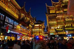 immerse in Yuyuan Market with China Local Tour