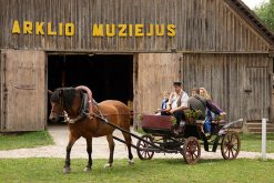 visitor of China Local Tours visit Horses Museum