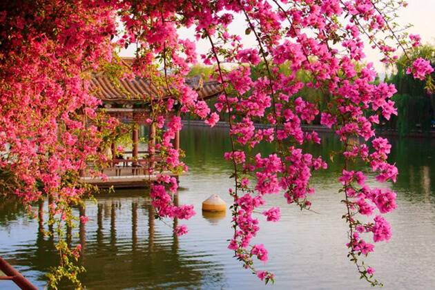 visitors of China local tour experience Flower Stream Park in China